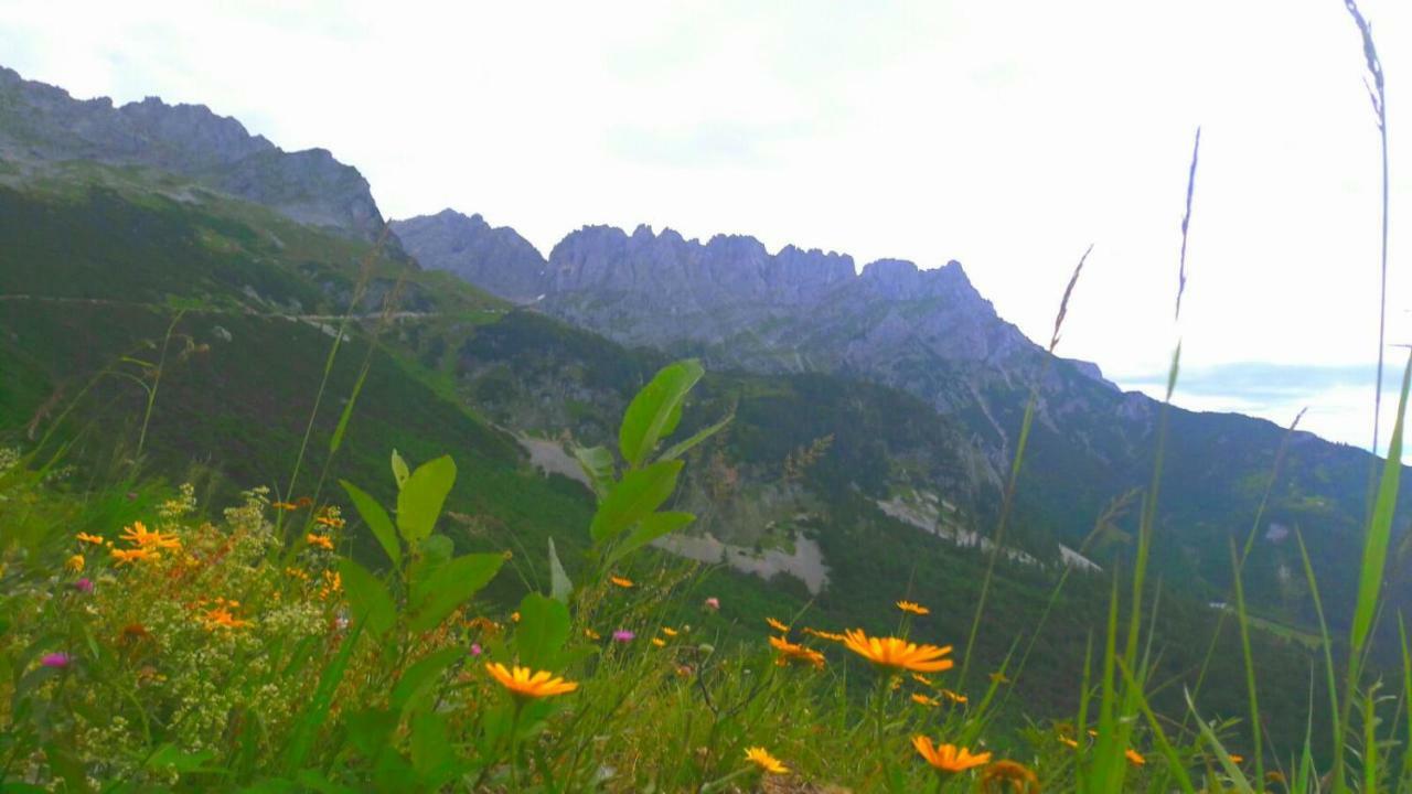 Landhaus Bergmoment - Adults Only Ellmau Dış mekan fotoğraf