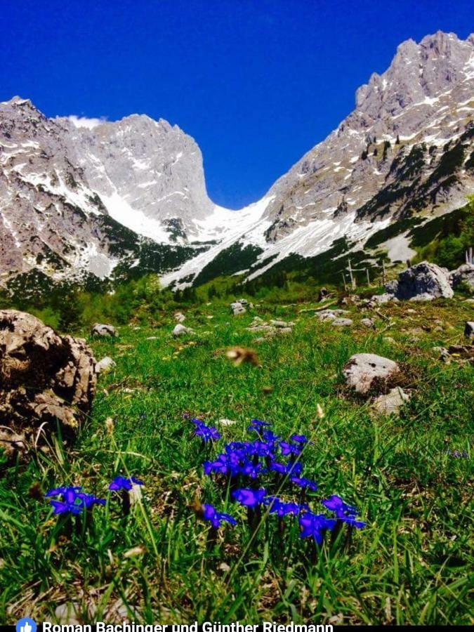 Landhaus Bergmoment - Adults Only Ellmau Dış mekan fotoğraf